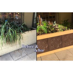 4_6_additional image.jpg image